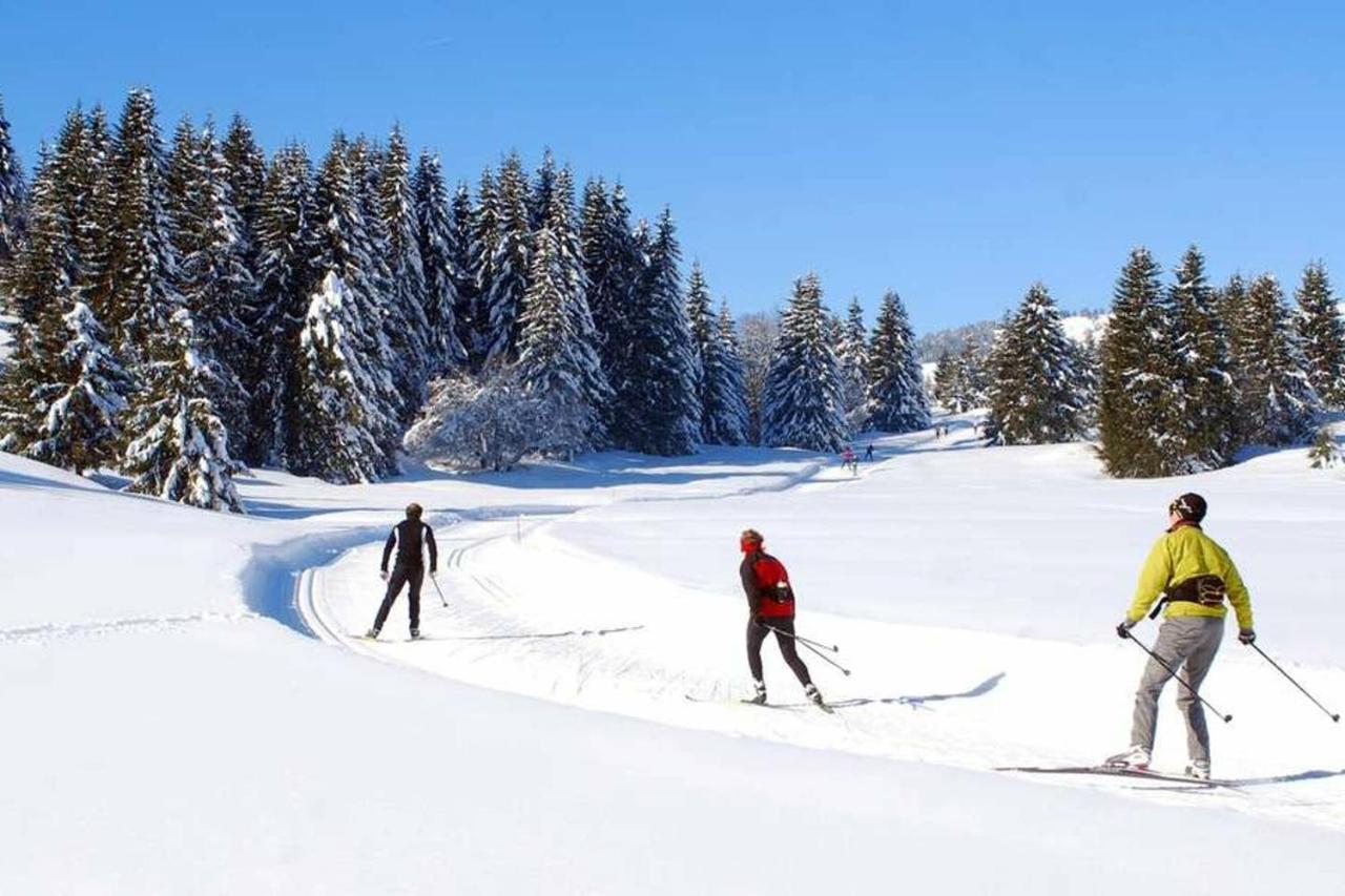 Le 211,Ski Et Randonnee, Lave Linge ,Parking Bernex Εξωτερικό φωτογραφία
